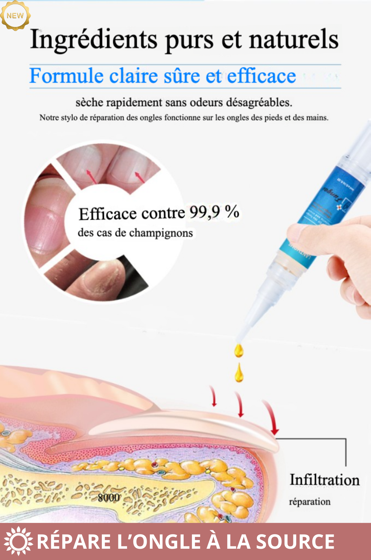 LANTHOME – Stylo Réparateur Ongles Abîmés | Rénovation Totale & Repousse Saine