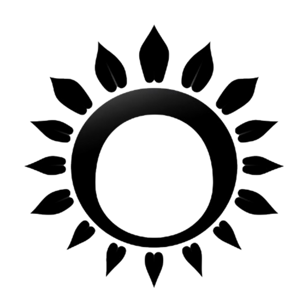 BLACK SUN Cosmetics®